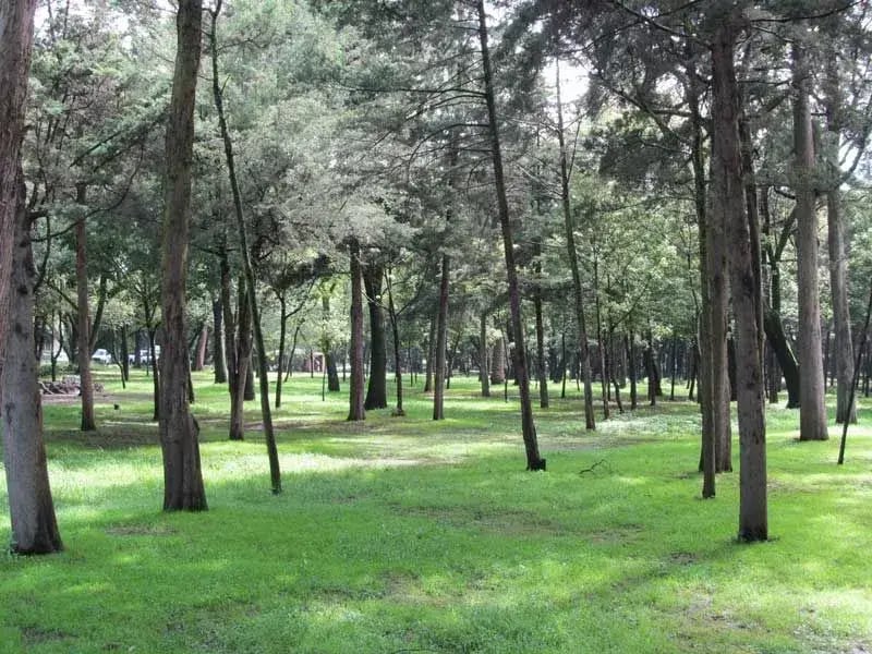 Zonas verdes protegidas del DF